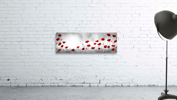 popf8x24color Wall Preview