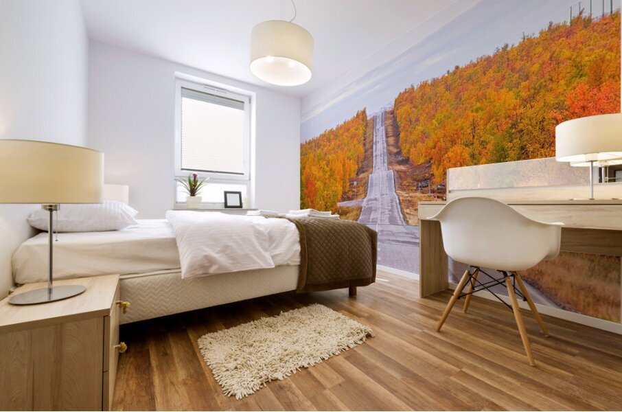 Lapland 1 Mural print