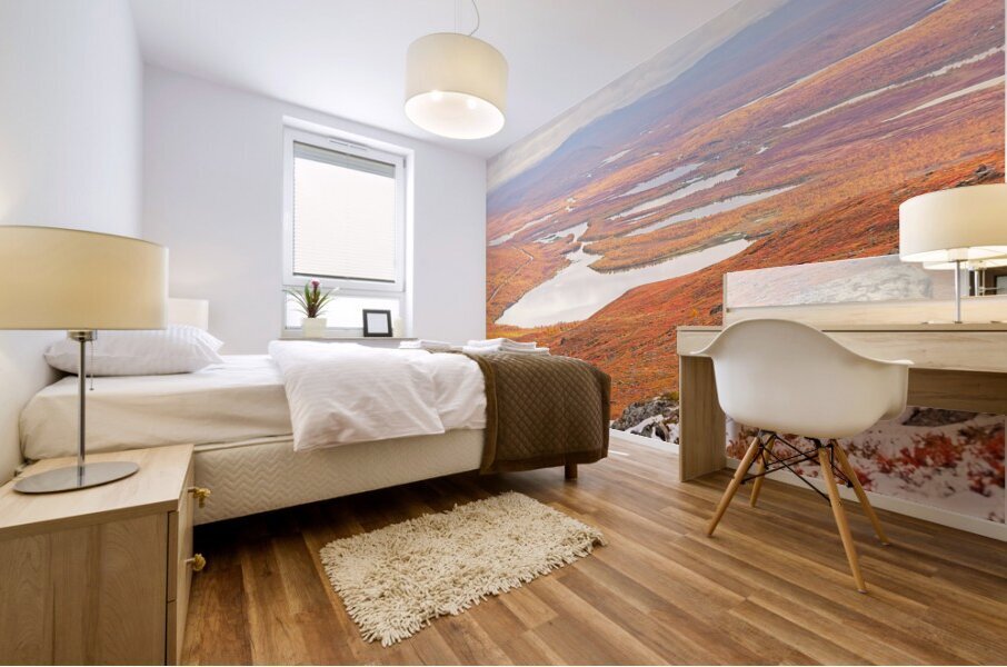 Lapland 3 Mural print