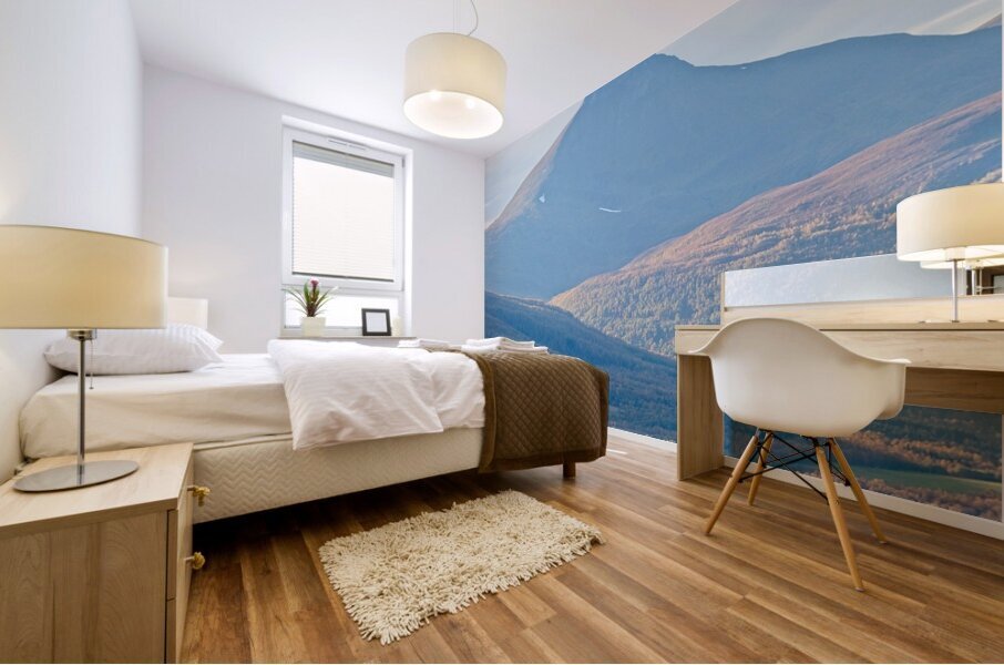 Norway 3 Mural print