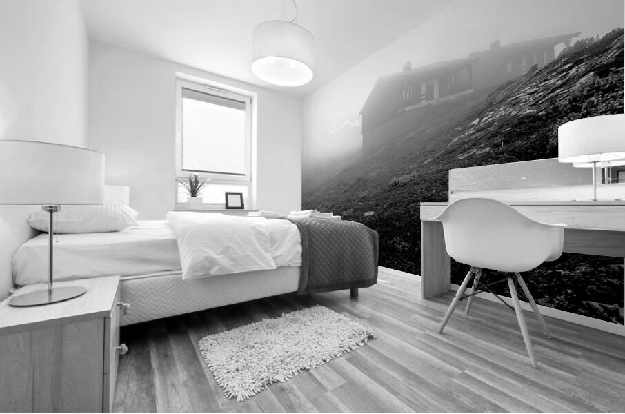 Norway 7 Mural print