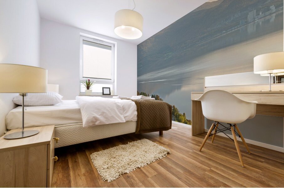 Norway 11 Mural print