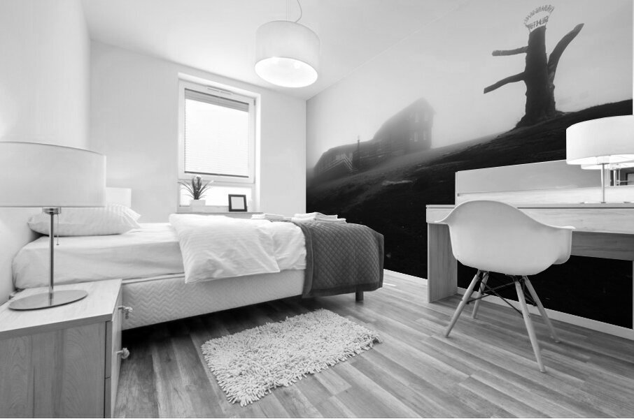 Norway 6 Mural print