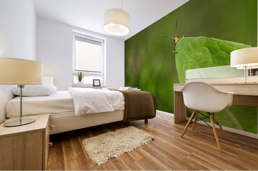 Sotkamo 2 Mural print