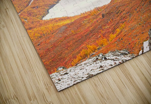 Lapland 3 Antti Silvennoinen Photography puzzle