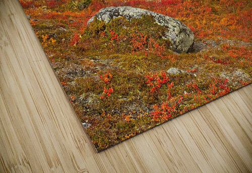 Lapland 2 Antti Silvennoinen Photography puzzle