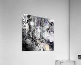 Dreaming In Grey Acrylic Print