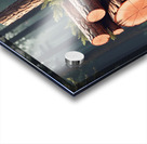 log creator  Acrylic print