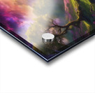  rainbow  Acrylic print