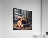 log creator  Acrylic Print