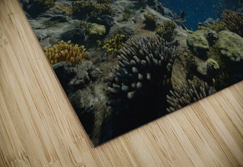 odyssey chissy puzzle