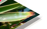 flower HD Metal print