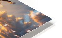 Abeautifulshine HD Metal print