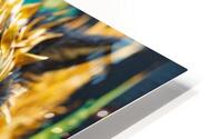  Quilled Electri  HD Metal print