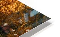 neom  unsplash HD Metal print