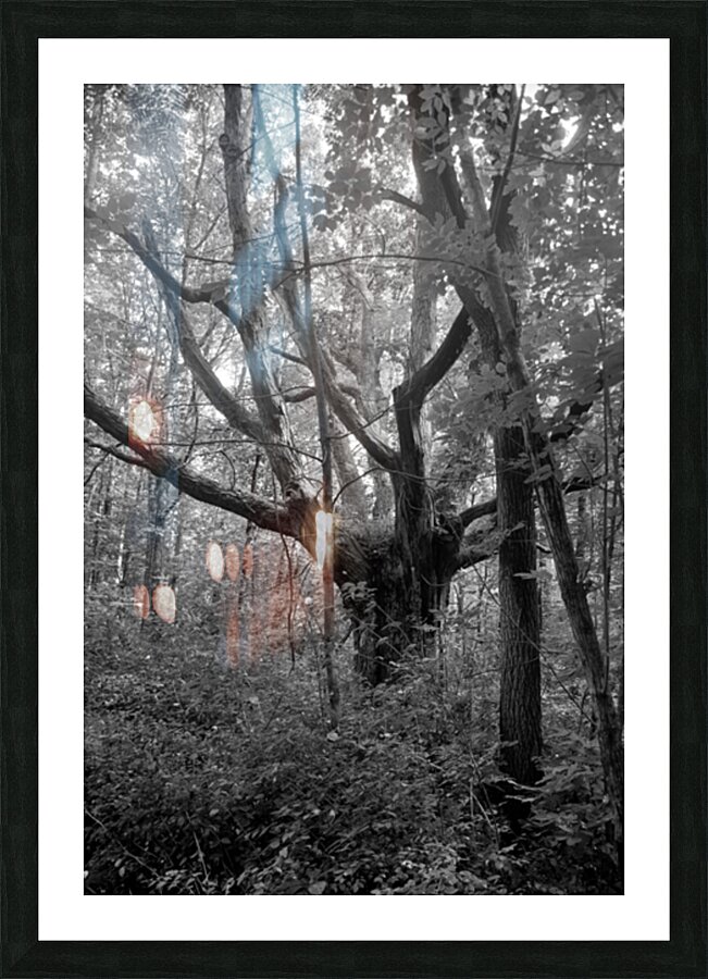 untitled 33 Picture Frame print