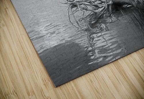 93c0c4a669f0bb8c023f3bd624b26248a8afca23 p ElizabethLimaPhotography puzzle