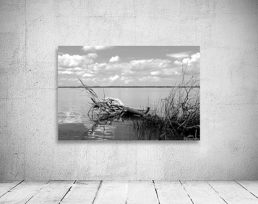 untitled 37 2 Wall Preview