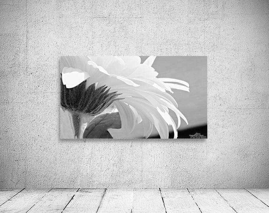 White Snow Eraser Wall Preview