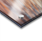 Silhouette Birds Sunset Acrylic print