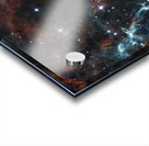 Rosette Acrylic print