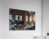 Rosette Acrylic Print