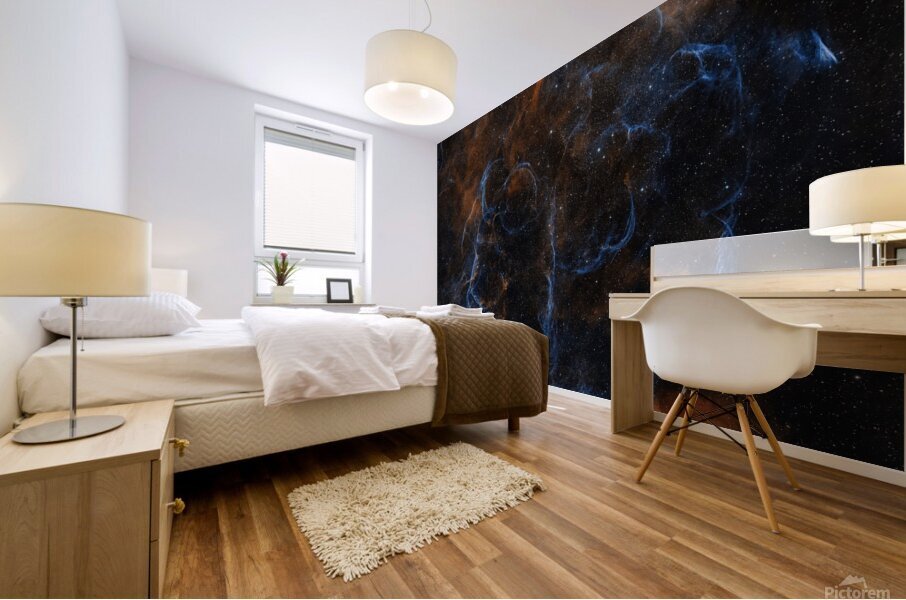 Vela SNR Mural print