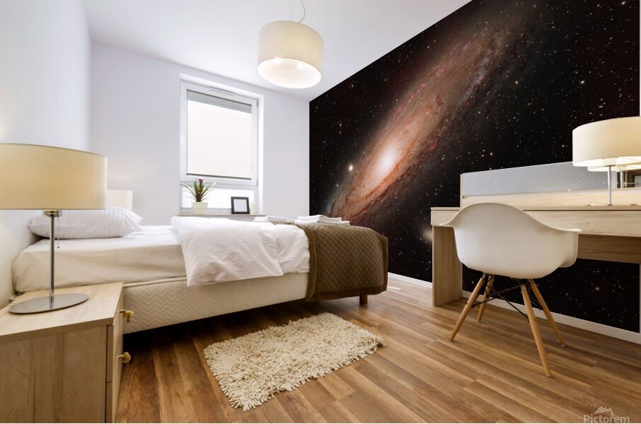 Andromeda Mural print
