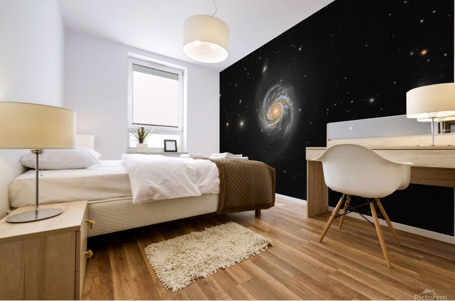 Messier 100 Mural print