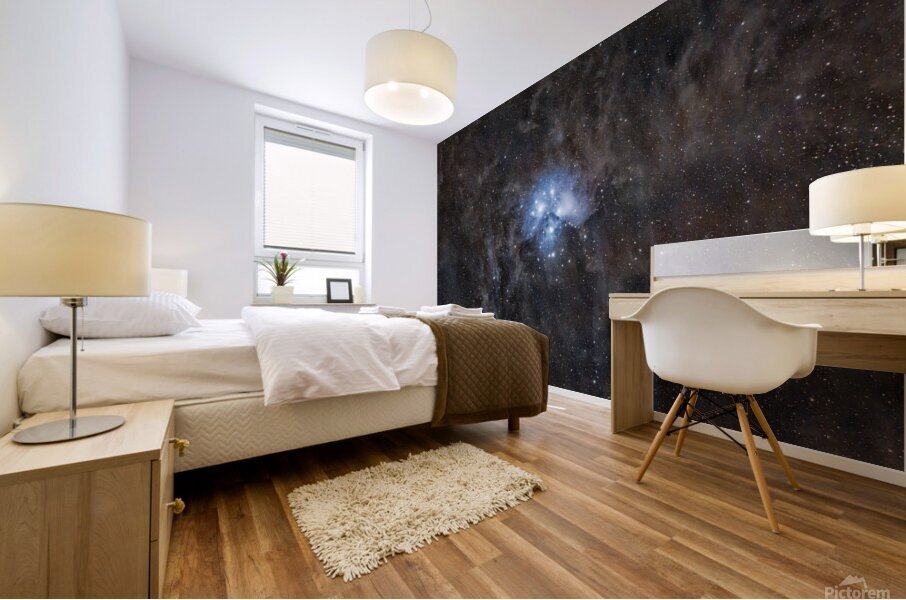 Pleiades Mural print