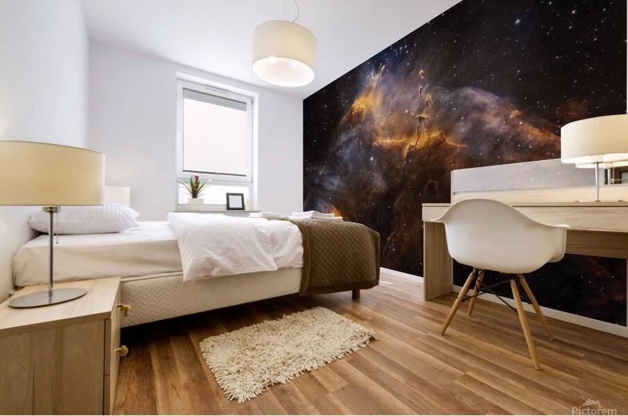 Southern Tadpole Nebula Mural print