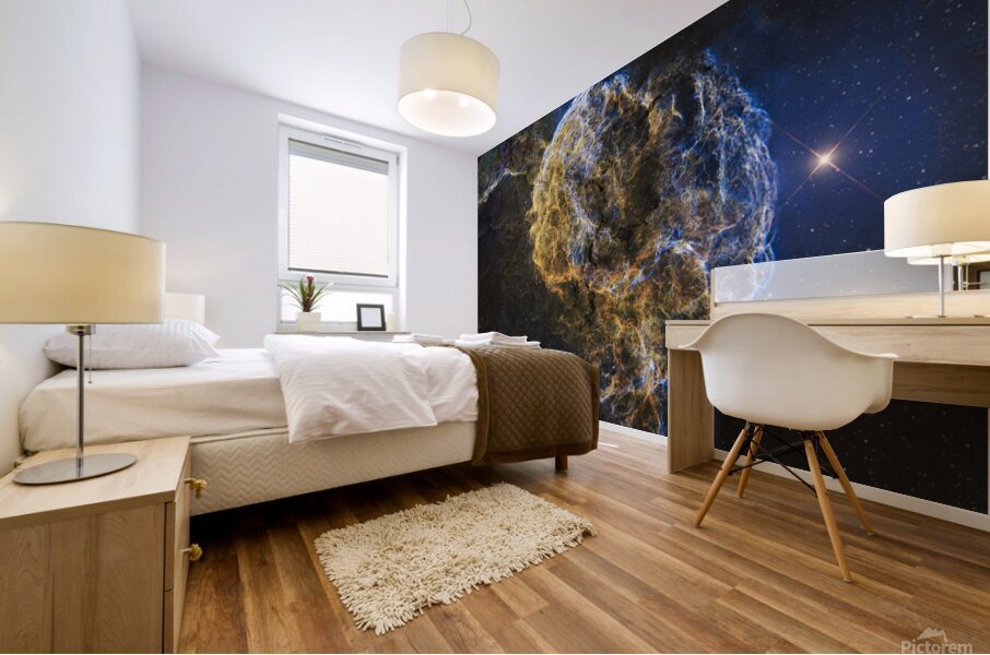 Jellyfish Nebula Mural print