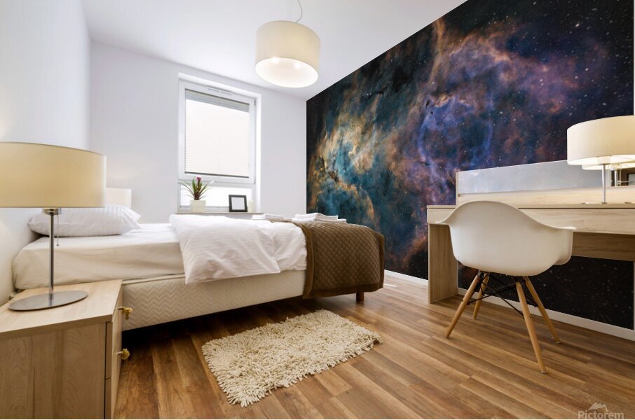 Lion Nebula Mural print