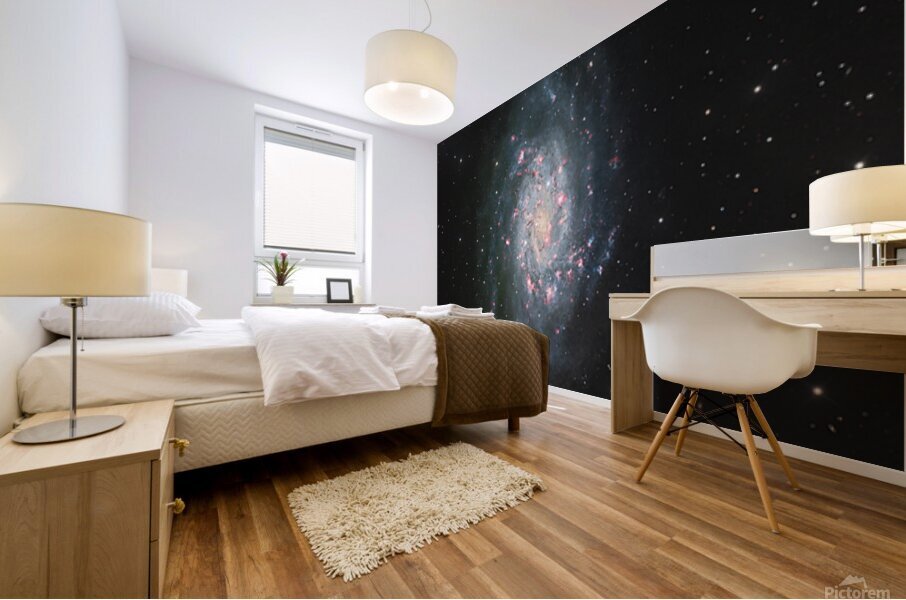 NGC2403 Mural print