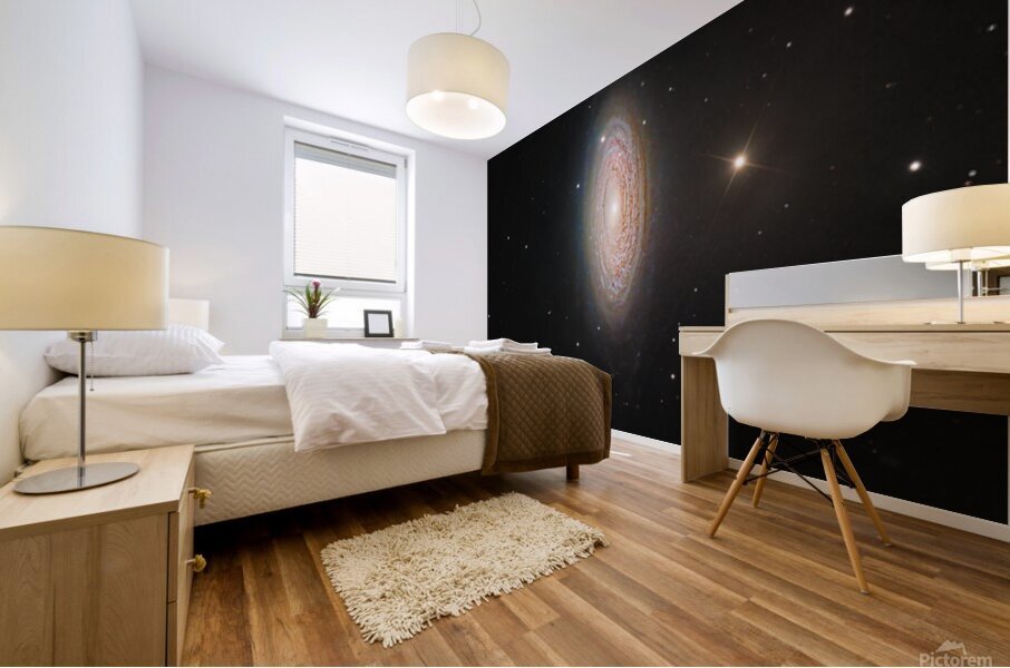NGC 2841 Mural print