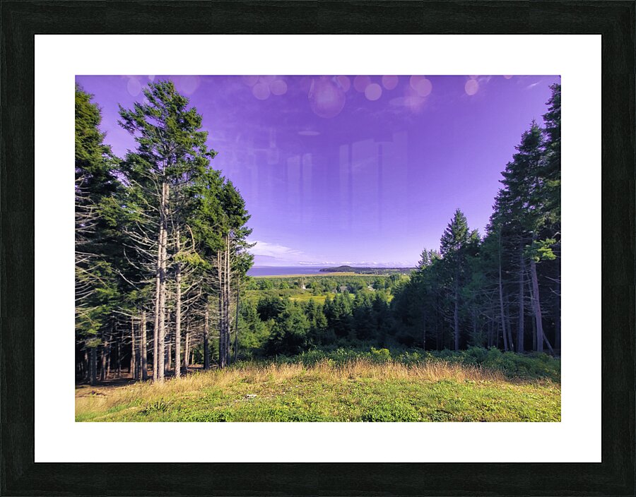 Sea view from Mountain Picture Frame print