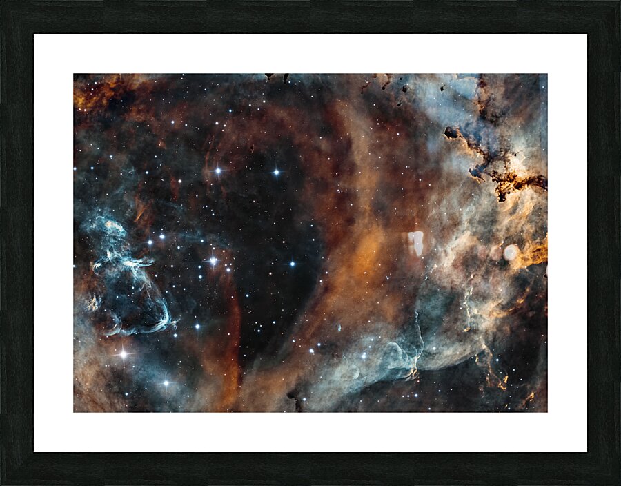 Rosette Picture Frame print