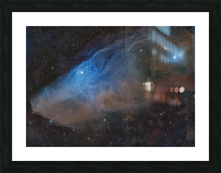 BlueHorseHead Picture Frame print