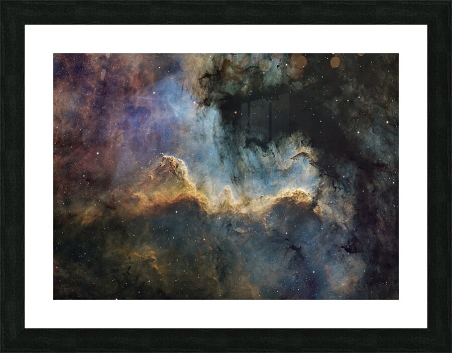 Cygnus Wall Picture Frame print