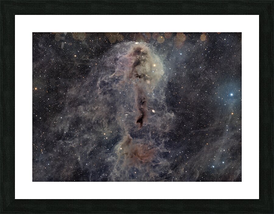 Rotten Fish Picture Frame print