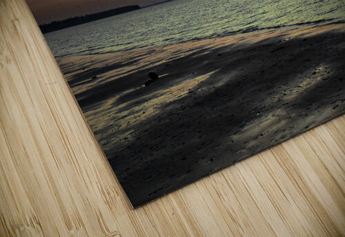 Coastal Sunset Toozastro puzzle