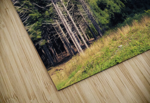 Sea view from Mountain Toozastro puzzle