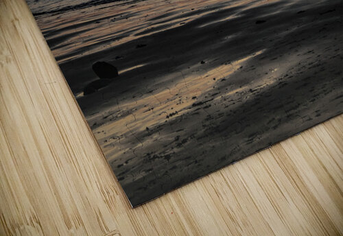 Sunset Toozastro puzzle