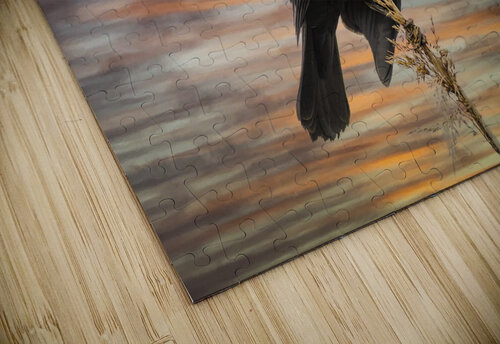 Silhouette Birds Sunset Toozastro puzzle