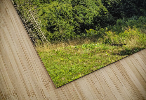 Sea View from Mountain Toozastro puzzle