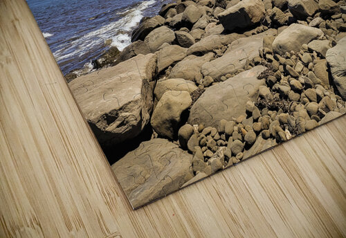 Rocky Beach Toozastro puzzle