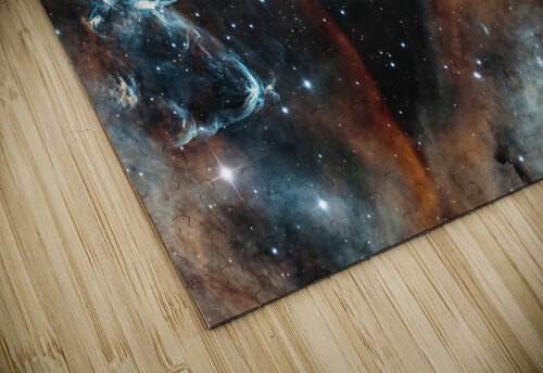 Rosette Toozastro puzzle