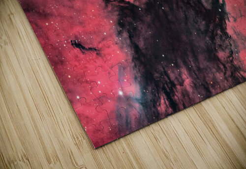 Dark Wolf Toozastro puzzle