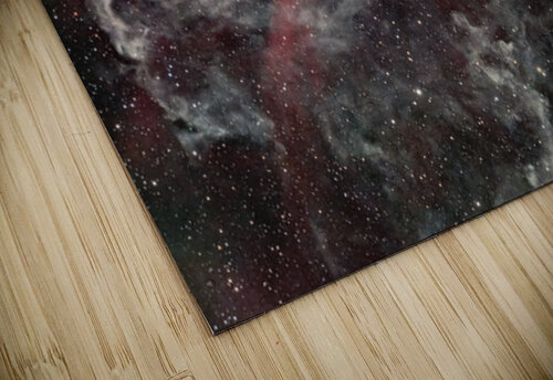 Gecko Nebula Toozastro puzzle