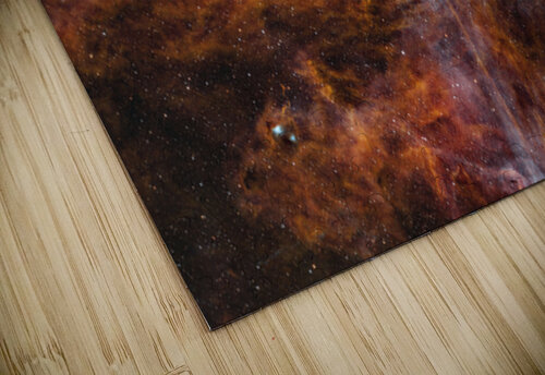 WR - 134 Toozastro puzzle